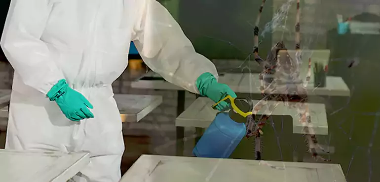 Why Buyers Still Want Homes With Pest Infestations in Progress, PA?
