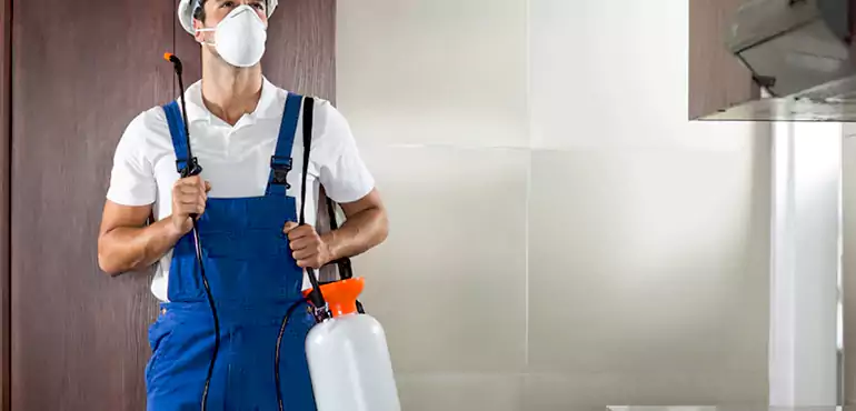 Why Progress Homeowners Choose Us When Pests Make Selling Difficult