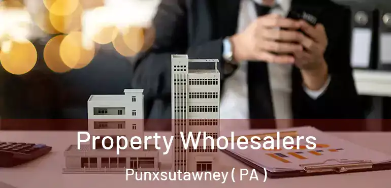  Property Wholesalers Punxsutawney ( PA )