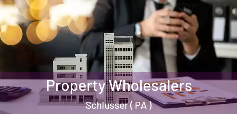  Property Wholesalers Schlusser ( PA )