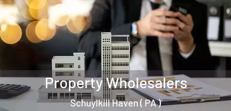  Property Wholesalers Schuylkill Haven ( PA )