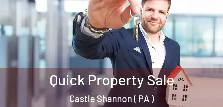  Quick Property Sale Castle Shannon ( PA )
