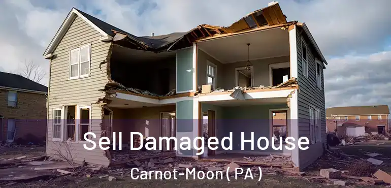  Sell Damaged House Carnot-Moon ( PA )