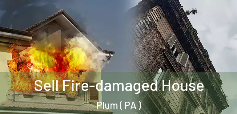  Sell Fire-damaged House Plum ( PA )
