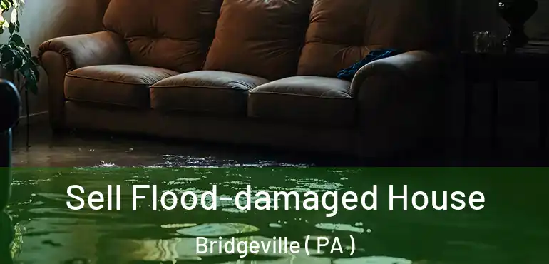  Sell Flood-damaged House Bridgeville ( PA )