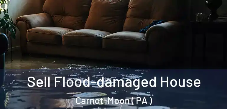 Sell Flood-damaged House Carnot-Moon ( PA )