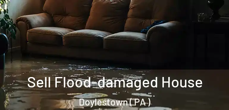 Sell Flood-damaged House Doylestown ( PA )