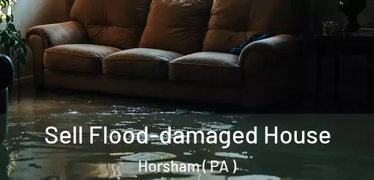  Sell Flood-damaged House Horsham ( PA )