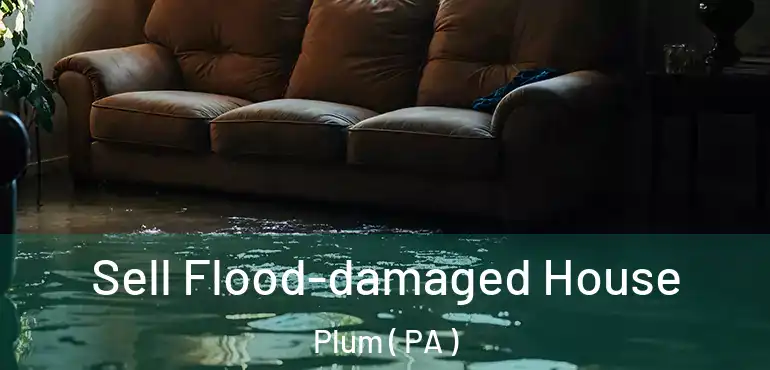  Sell Flood-damaged House Plum ( PA )