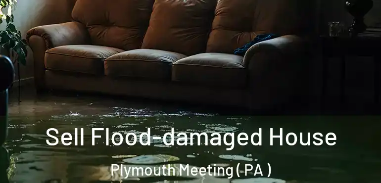  Sell Flood-damaged House Plymouth Meeting ( PA )