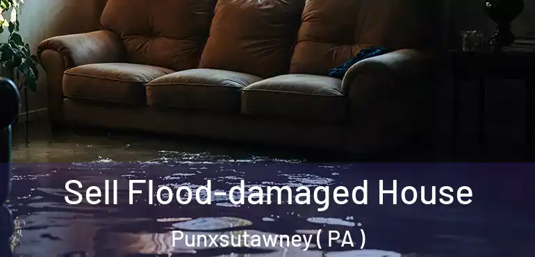  Sell Flood-damaged House Punxsutawney ( PA )