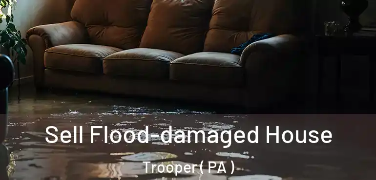  Sell Flood-damaged House Trooper ( PA )