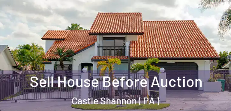  Sell House Before Auction Castle Shannon ( PA )
