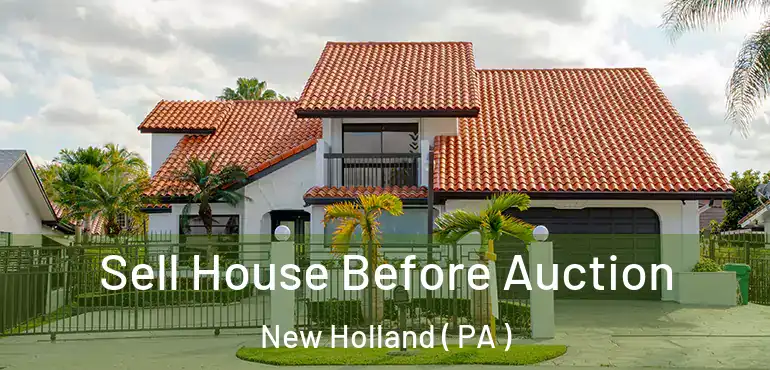  Sell House Before Auction New Holland ( PA )