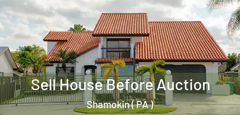  Sell House Before Auction Shamokin ( PA )