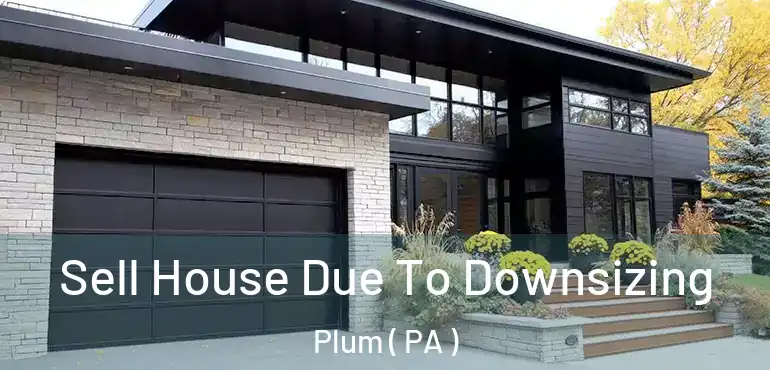 Sell House Due To Downsizing Plum ( PA )