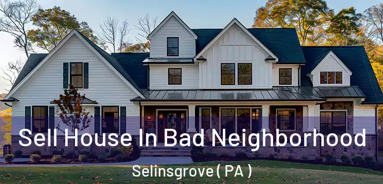  Sell House In Bad Neighborhood Selinsgrove ( PA )