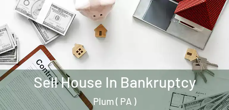 Sell House In Bankruptcy Plum ( PA )