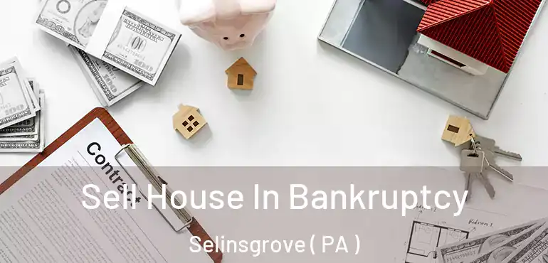  Sell House In Bankruptcy Selinsgrove ( PA )