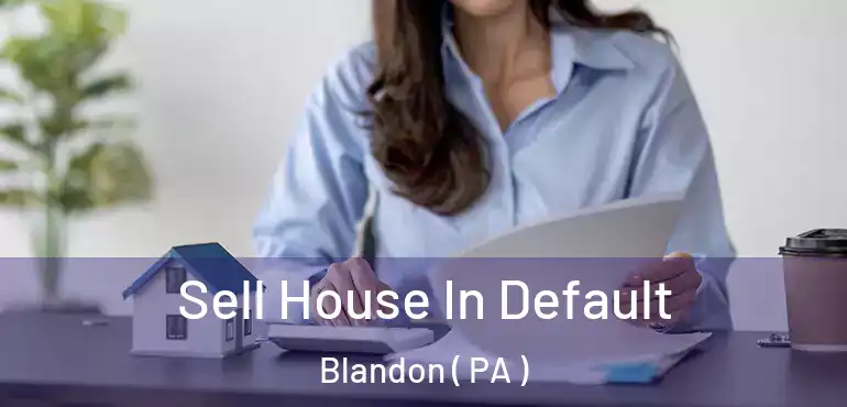  Sell House In Default Blandon ( PA )