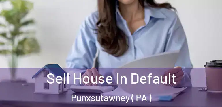  Sell House In Default Punxsutawney ( PA )
