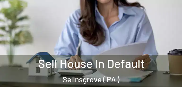  Sell House In Default Selinsgrove ( PA )