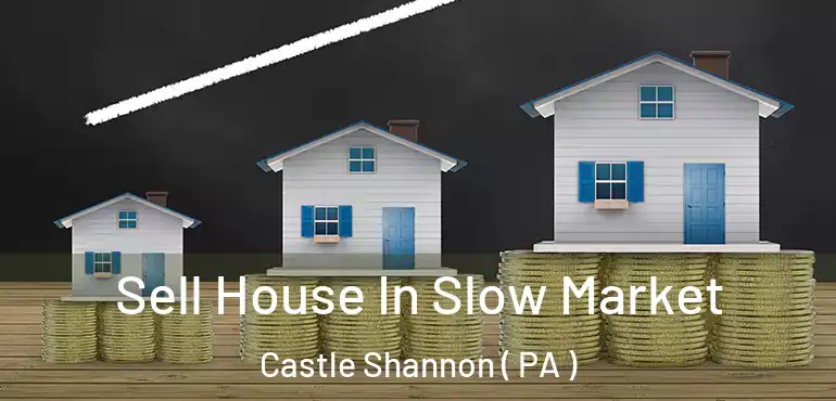  Sell House In Slow Market Castle Shannon ( PA )