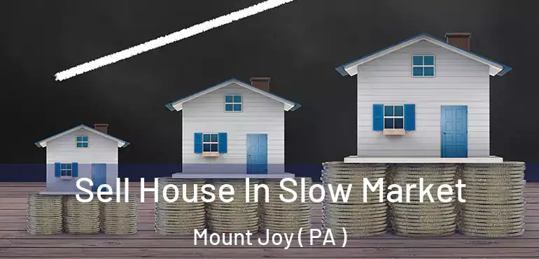  Sell House In Slow Market Mount Joy ( PA )