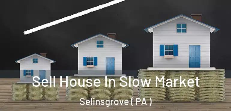  Sell House In Slow Market Selinsgrove ( PA )