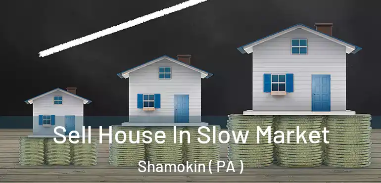  Sell House In Slow Market Shamokin ( PA )