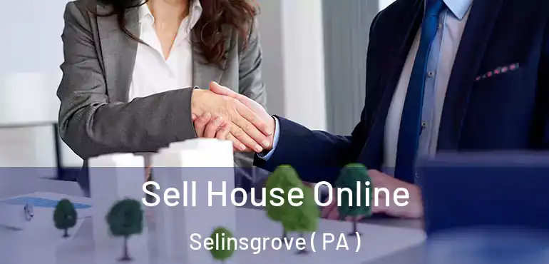  Sell House Online Selinsgrove ( PA )