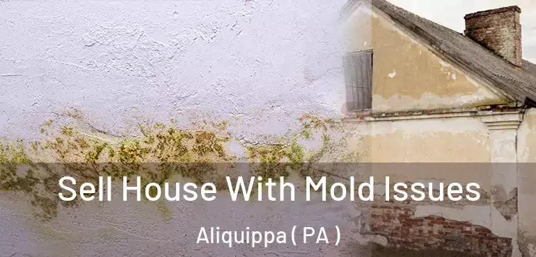  Sell House With Mold Issues Aliquippa ( PA )