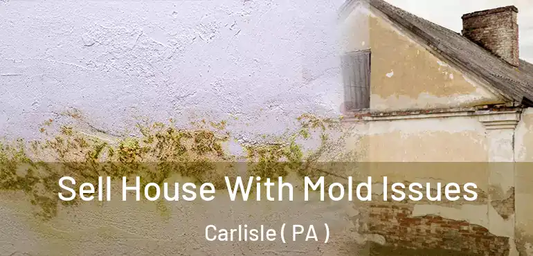  Sell House With Mold Issues Carlisle ( PA )