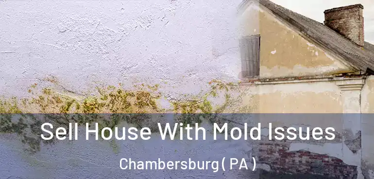  Sell House With Mold Issues Chambersburg ( PA )