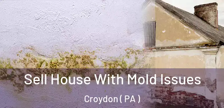  Sell House With Mold Issues Croydon ( PA )