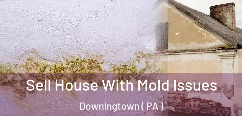  Sell House With Mold Issues Downingtown ( PA )