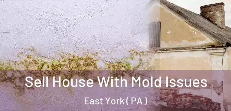  Sell House With Mold Issues East York ( PA )