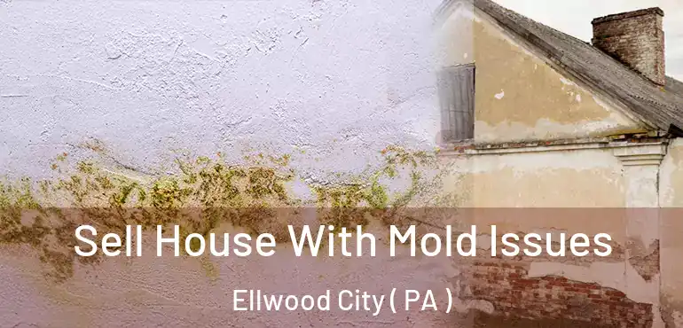  Sell House With Mold Issues Ellwood City ( PA )