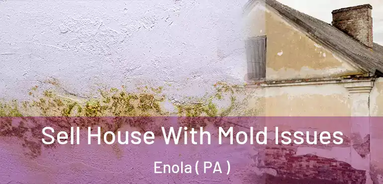  Sell House With Mold Issues Enola ( PA )