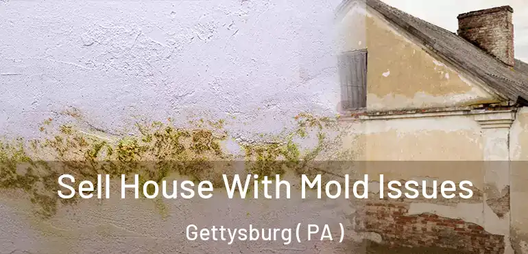  Sell House With Mold Issues Gettysburg ( PA )