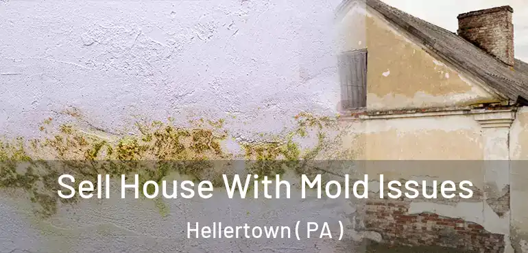  Sell House With Mold Issues Hellertown ( PA )
