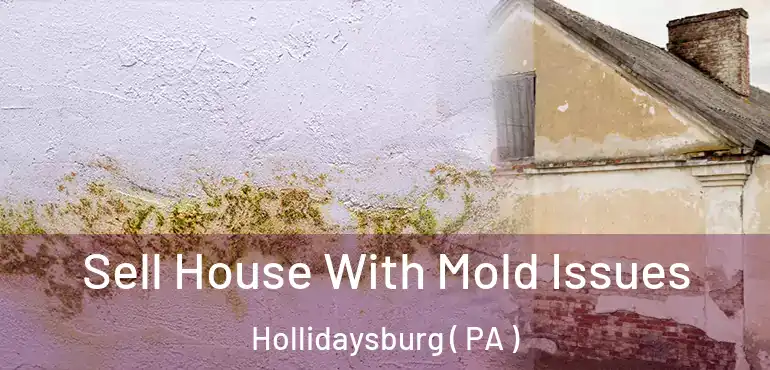  Sell House With Mold Issues Hollidaysburg ( PA )