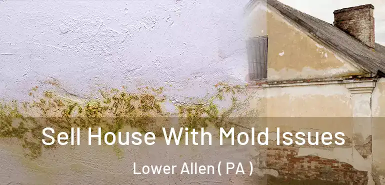  Sell House With Mold Issues Lower Allen ( PA )