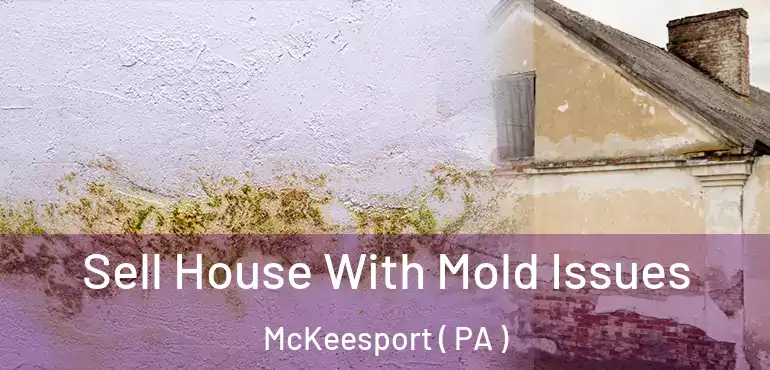  Sell House With Mold Issues McKeesport ( PA )