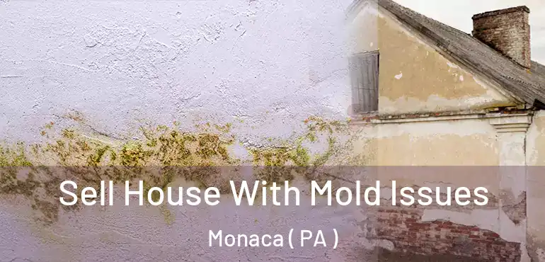  Sell House With Mold Issues Monaca ( PA )