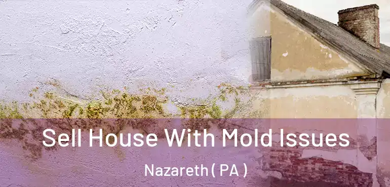  Sell House With Mold Issues Nazareth ( PA )