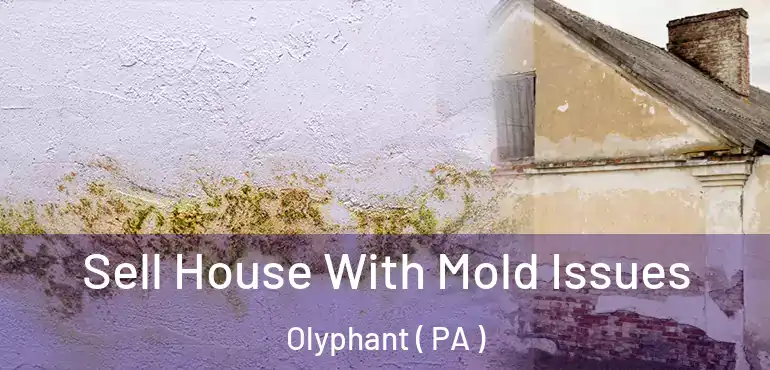  Sell House With Mold Issues Olyphant ( PA )