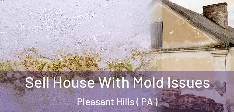  Sell House With Mold Issues Pleasant Hills ( PA )