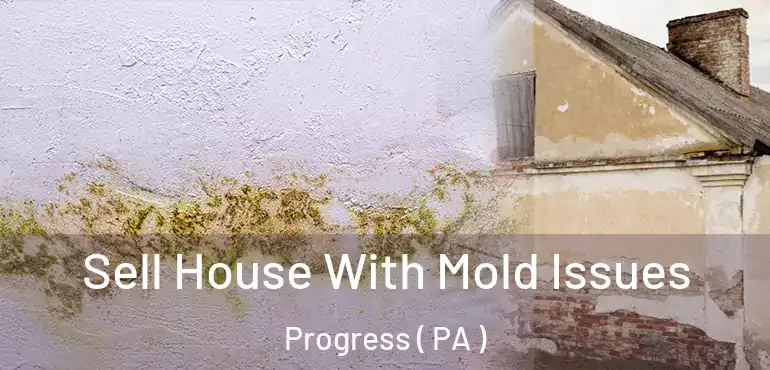  Sell House With Mold Issues Progress ( PA )