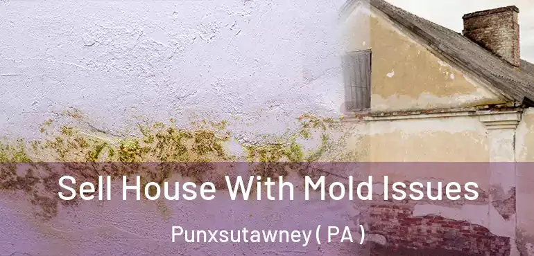  Sell House With Mold Issues Punxsutawney ( PA )